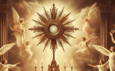 Recomenzamos la actividad de Albanza